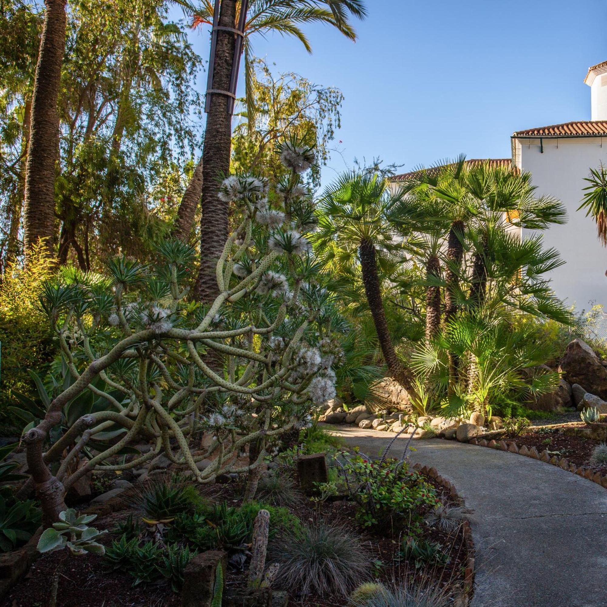 Apartamento Ideal In Marbella, Near Nikki *